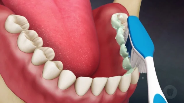 dentist perspective